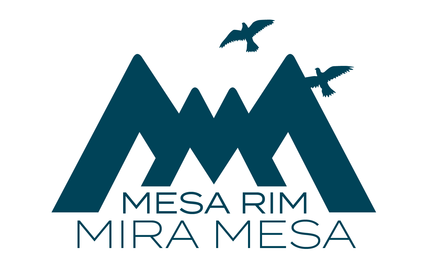 Mesa Rim Climbing Center